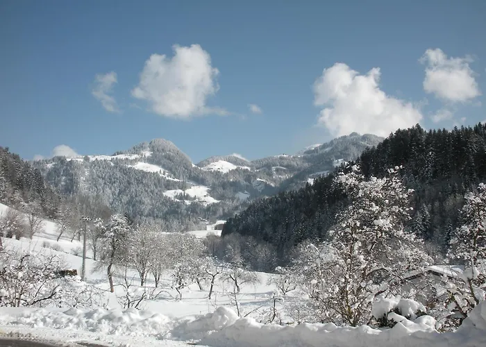 Stegerbauer * 基希比希尔