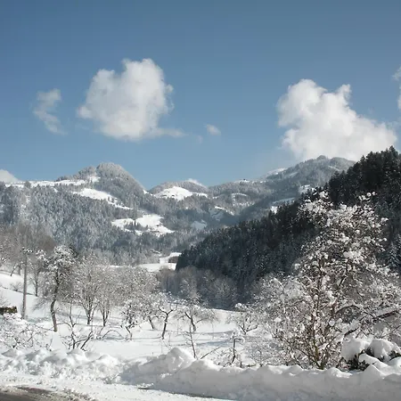 Stegerbauer * קירכביכל